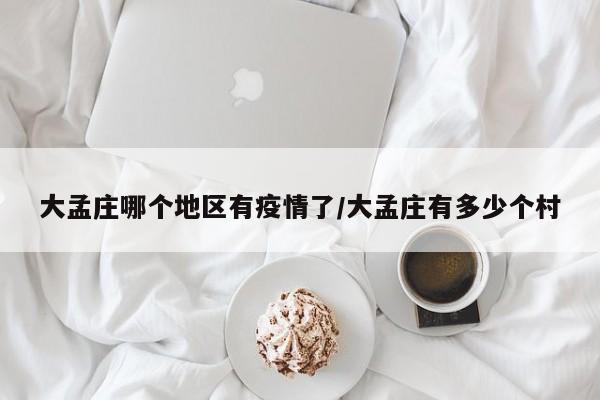 大孟庄哪个地区有疫情了/大孟庄有多少个村