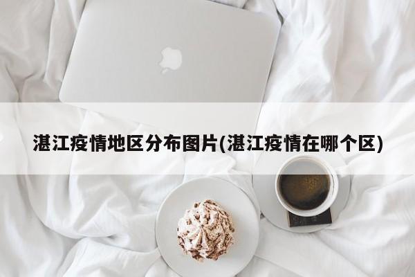 湛江疫情地区分布图片(湛江疫情在哪个区)