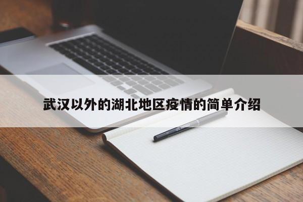 武汉以外的湖北地区疫情的简单介绍
