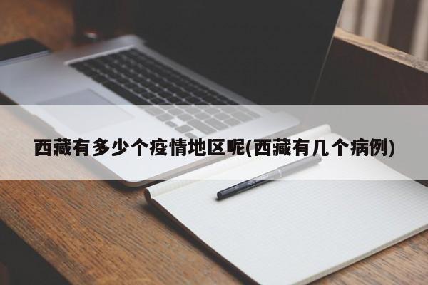 西藏有多少个疫情地区呢(西藏有几个病例)
