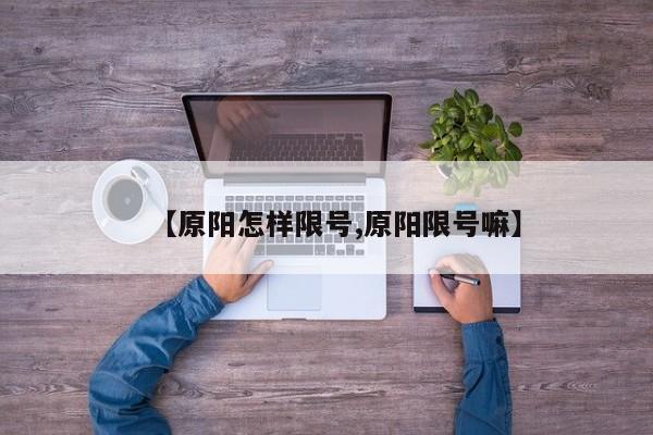 【原阳怎样限号,原阳限号嘛】