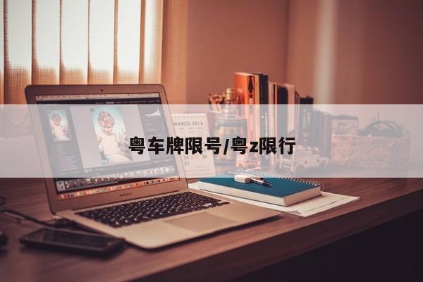 粤车牌限号/粤z限行